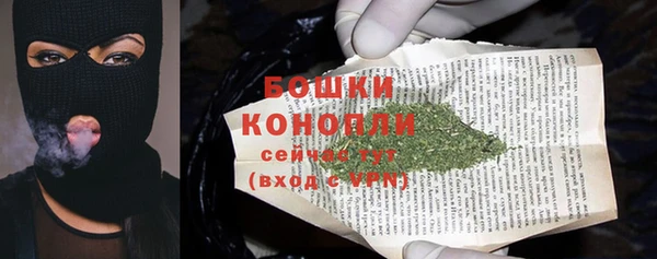 соль ск Нея