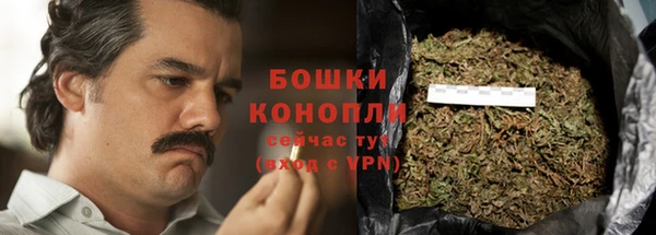 сатива Нефтекумск