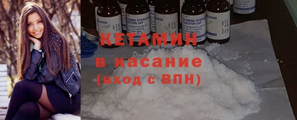 сатива Нефтекумск