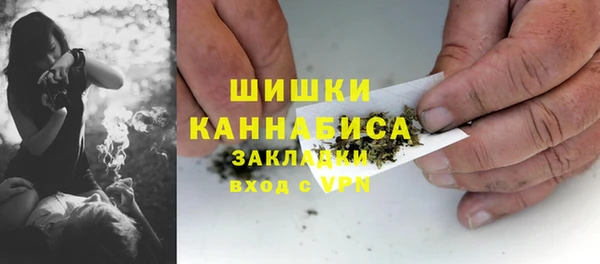 сатива Нефтекумск