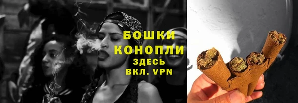 сатива Болотное