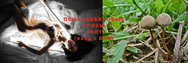 сатива Нефтекумск