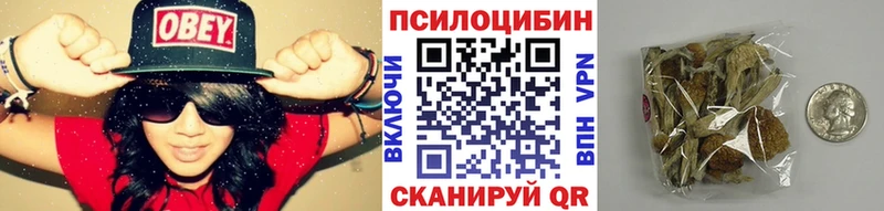 Галлюциногенные грибы Cubensis даркнет сайт mega маркетплейс Павловский Посад