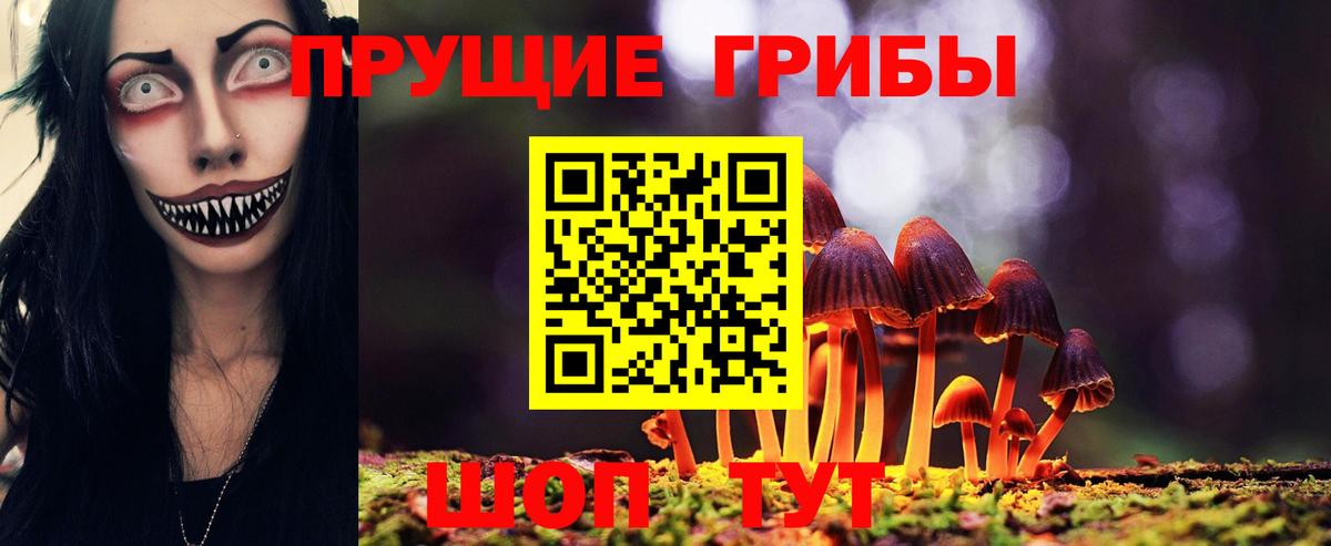 Галлюциногенные грибы ЛСД  Галлюциногенные грибы MAGIC MUSHROOMS  закладка  Павловский Посад  Вход с VPN 